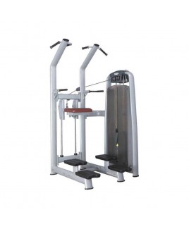 9008 UPPER LIMBS