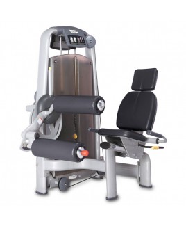 9013 SEATED LEG CURL