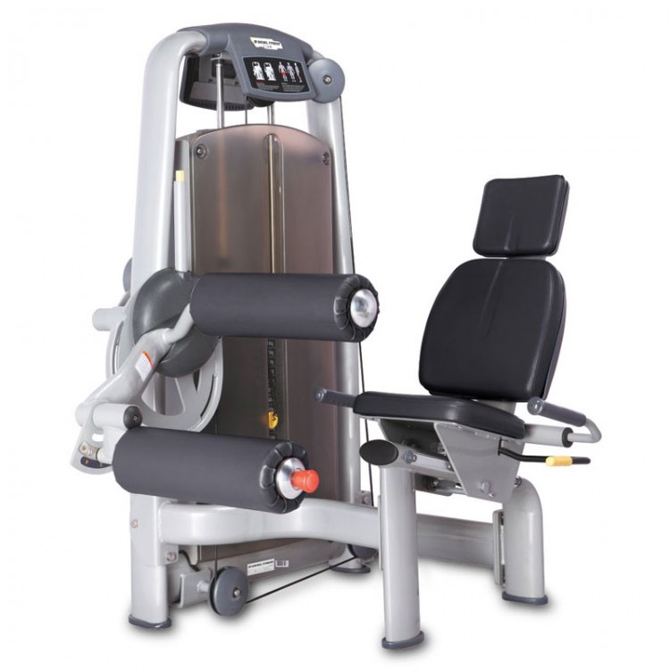 9013 SEATED LEG CURL