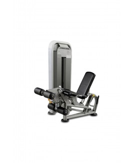 D Leg Curl / Leg Extension Dual Machine