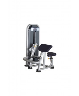 D Biceps / Triceps Dual Machine