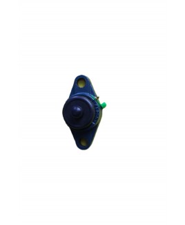 ESGYP 117