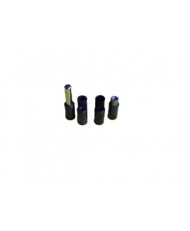ESGYP 118