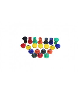 ESGYP 156