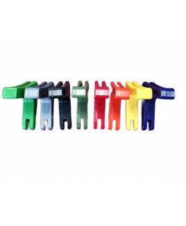 ESGYP 203
