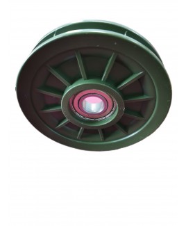 ESGYP 205