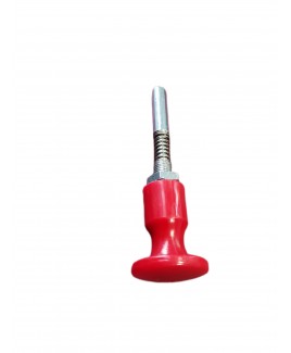 ESGYP 209