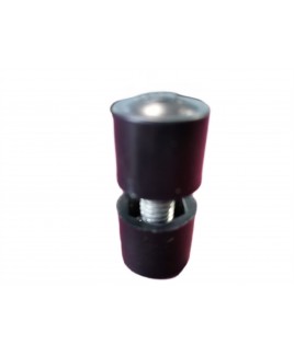 ESGYP 210