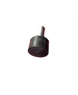 ESGYP 224