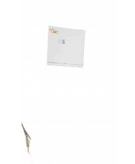 ESGYP 26