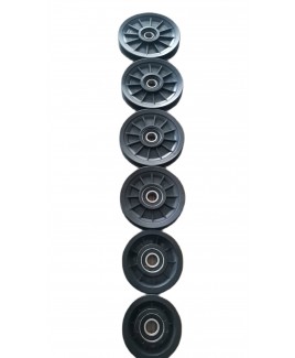 ESGYP 31