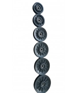 ESGYP 33