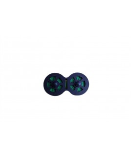 ESGYP 79
