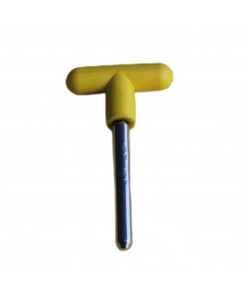 ESYP 55